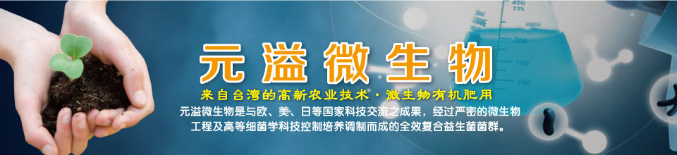 首页banner