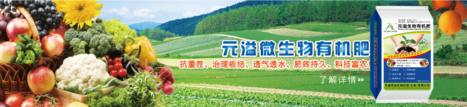 首页banner